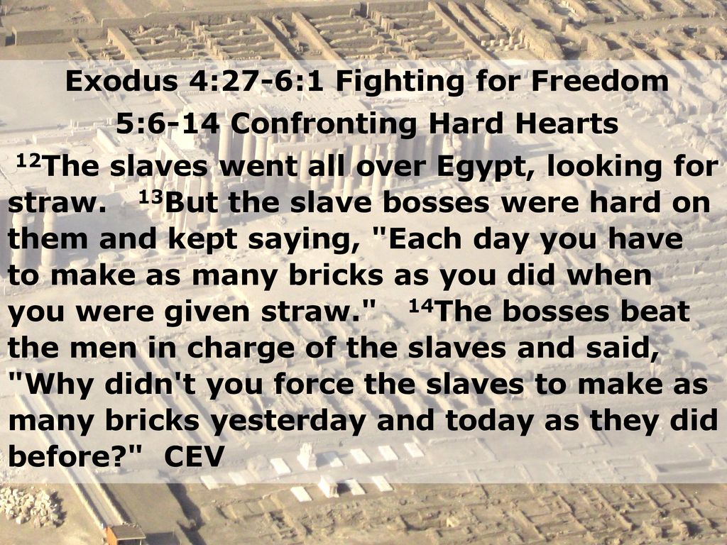 Exodus 4 to 6 sale